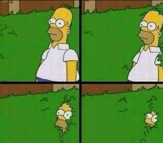 Homer Simpson in front of a hedge, then slowly backing into it until he disappears