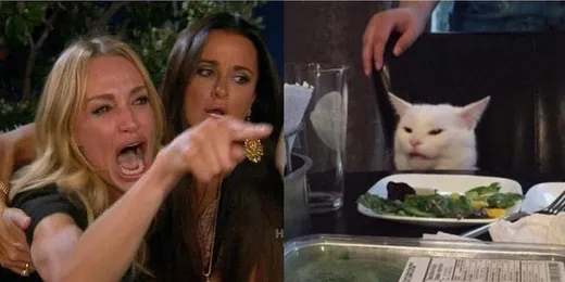 Left: a woman shouting and pointing while a friend holds her back. Right: a white cat at a dinner table behind a plate of vegetables